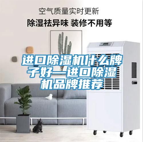 進口91看片软件大全什麽牌子好—進口91看片软件大全品牌推薦