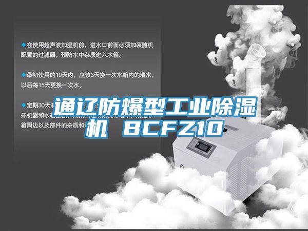 通遼防爆型工業91看片软件大全 BCFZ10