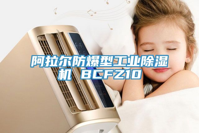 阿拉爾防爆型工業91看片软件大全 BCFZ10
