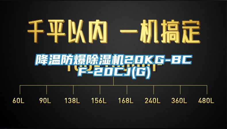 降溫防爆91看片软件大全20KG-BCF-20CJ(G)