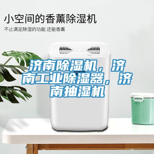 濟南91看片软件大全，濟南工業除濕器，濟南抽濕機