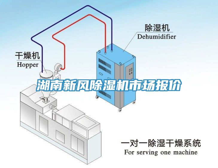 湖南新風91看片软件大全市場報價
