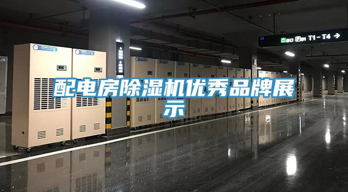 配電房91看片软件大全優秀品牌展示