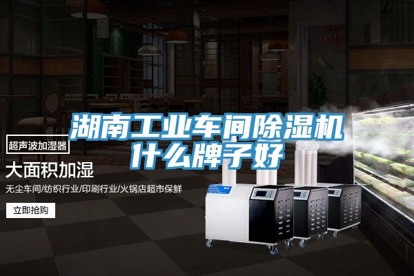 湖南工業車間91看片软件大全什麽牌子好