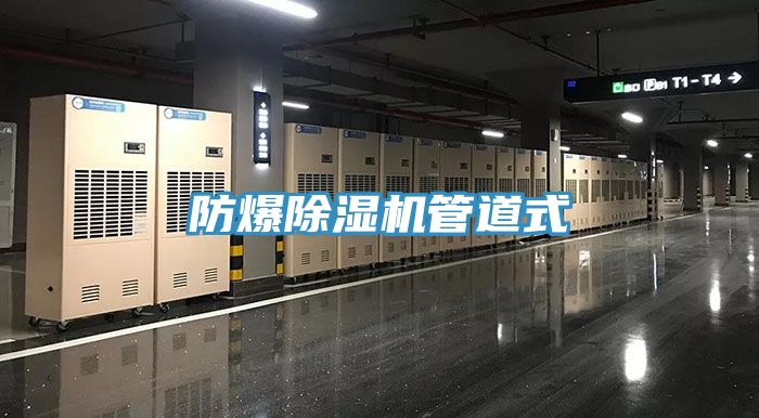 防爆91看片软件大全管道式