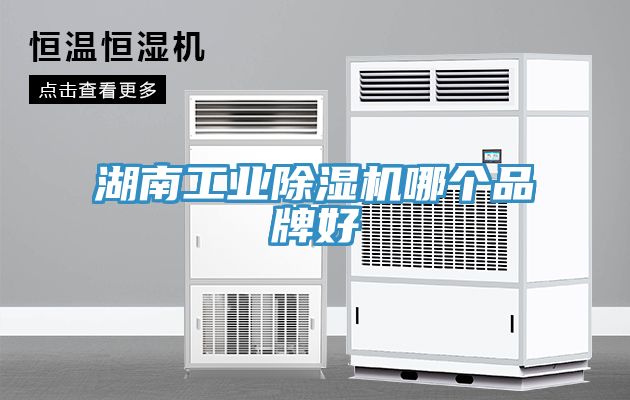 湖南工業91看片软件大全哪個品牌好