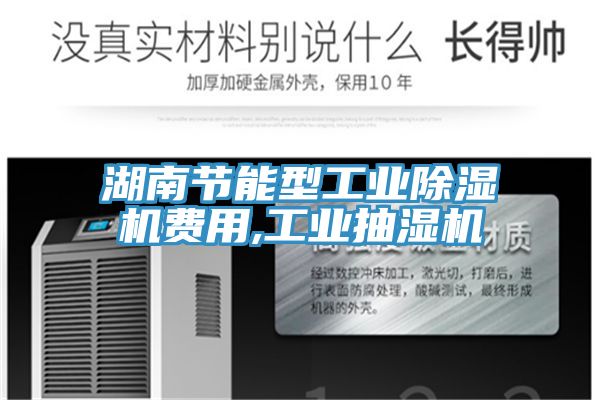 湖南節能型工業91看片软件大全費用,工業抽濕機