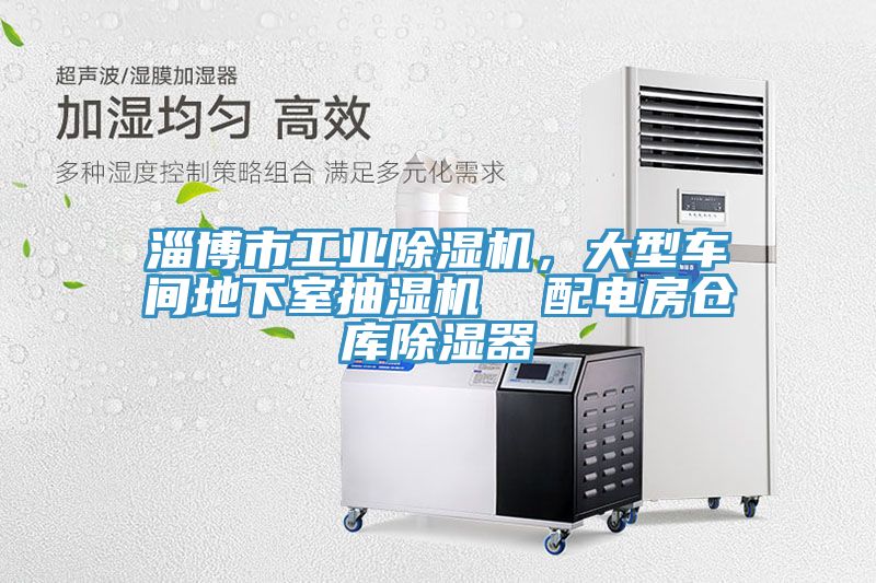 淄博市工業91看片软件大全，大型車間地下室抽濕機  配電房倉庫除濕器