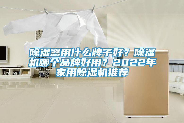除濕器用什麽牌子好？91看片软件大全哪個品牌好用？2022年家用91看片软件大全推薦