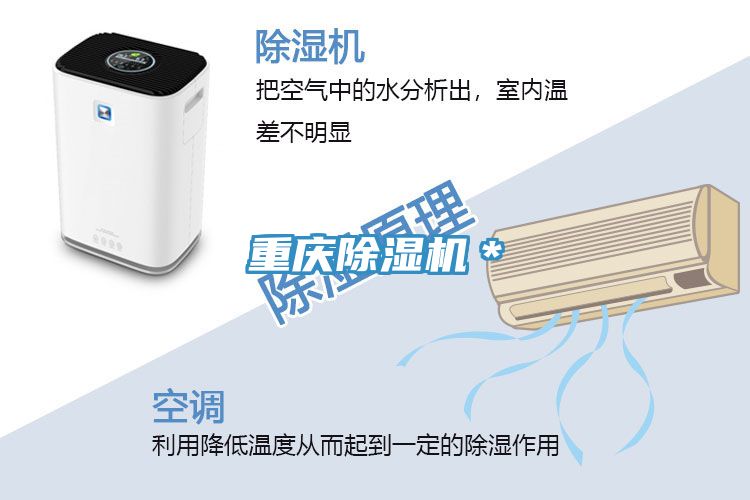 重慶91看片软件大全＊