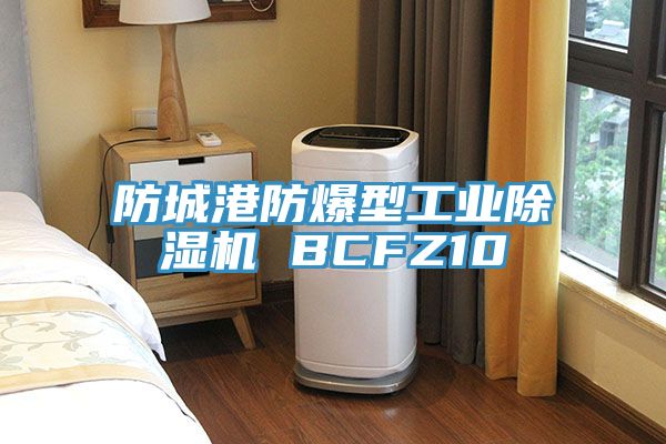 防城港防爆型工業91看片软件大全 BCFZ10