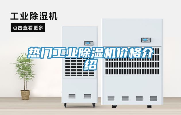 熱門工業91看片软件大全價格介紹