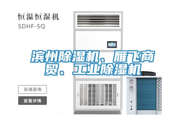 濱州91看片软件大全、雁飛商貿、工業91看片软件大全