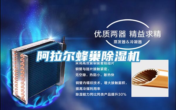 阿拉爾蜂巢91看片软件大全