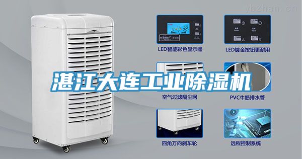 湛江大連工業91看片软件大全