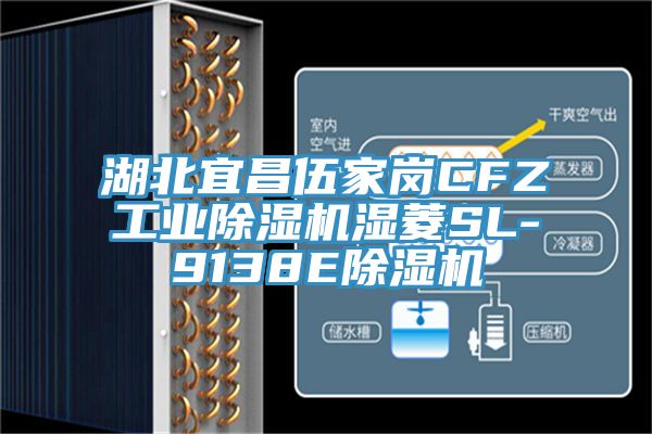 湖北宜昌伍家崗CFZ工業91看片软件大全濕菱SL-9138E91看片软件大全