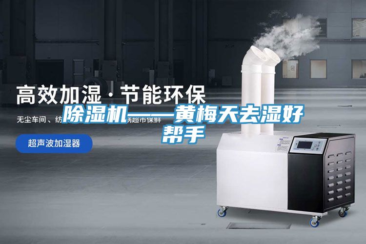 91看片软件大全——黃梅天去濕好幫手