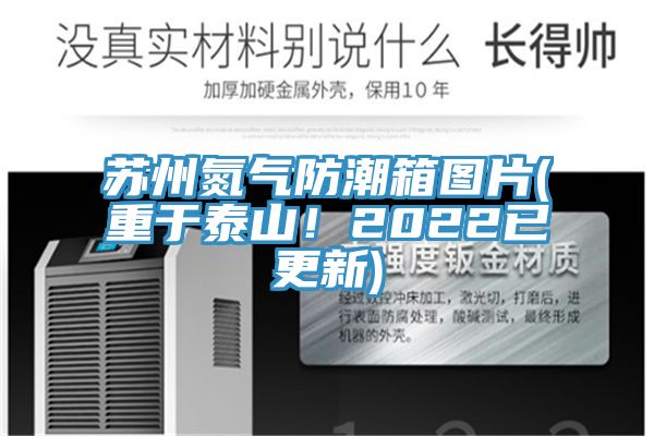 蘇州氮氣防潮箱圖片(重於泰山！2022已更新)