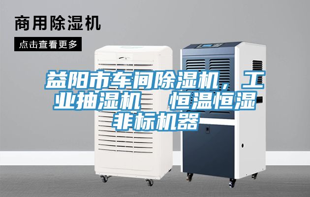 益陽市車間91看片软件大全，工業抽濕機  恒溫恒濕非標機器
