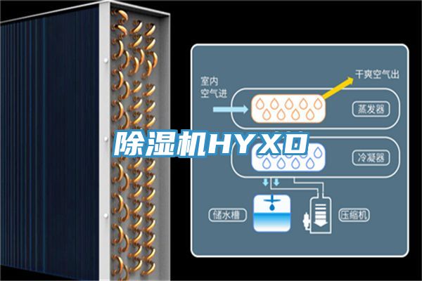 91看片软件大全HYXD