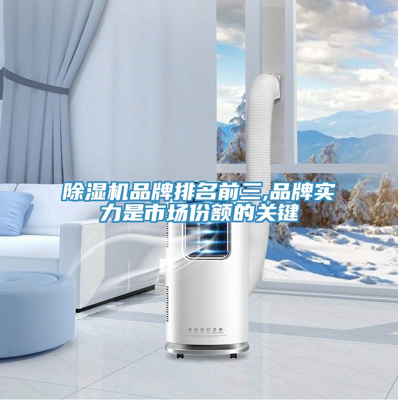 91看片软件大全品牌排名前三,品牌實力是市場份額的關鍵