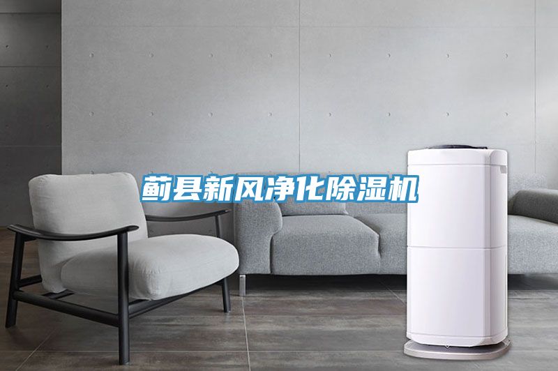 薊縣新風淨化91看片软件大全