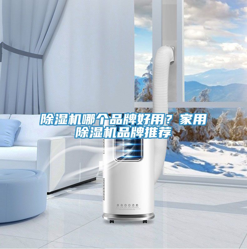 91看片软件大全哪個品牌好用？家用91看片软件大全品牌推薦