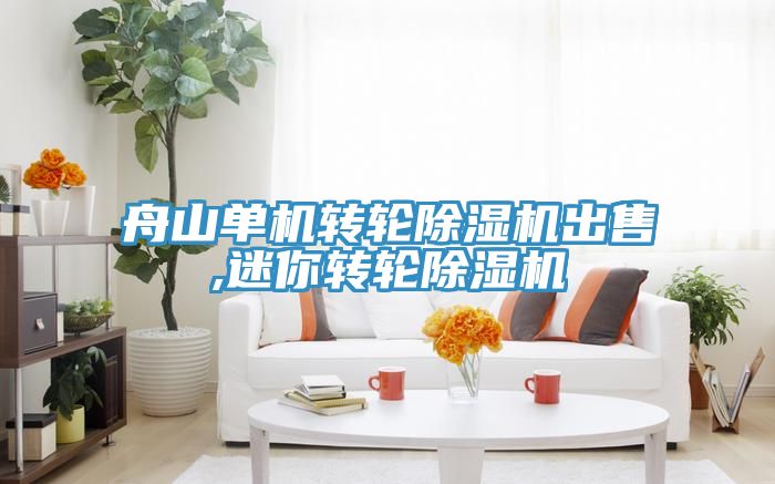 舟山單機轉輪91看片软件大全出售,迷你轉輪91看片软件大全