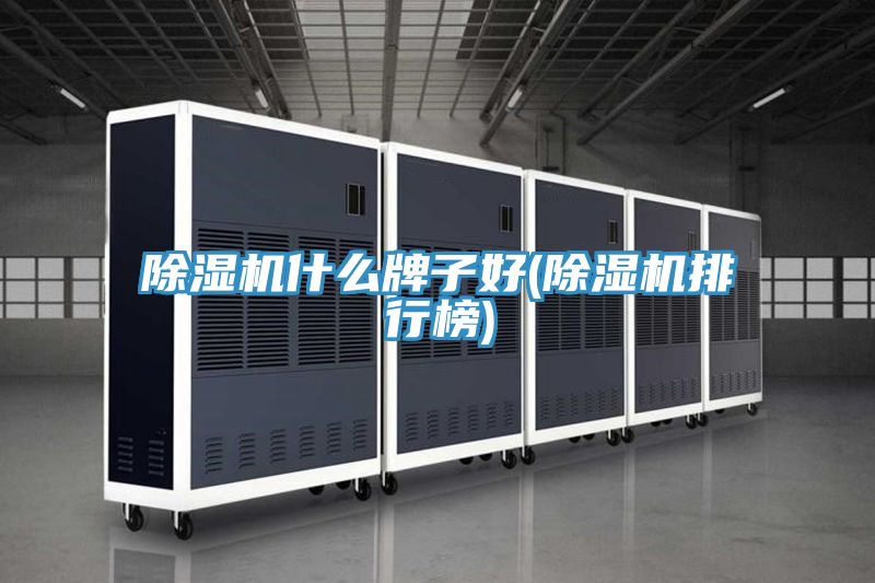91看片软件大全什麽牌子好(91看片软件大全排行榜)