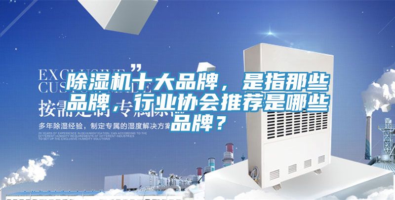 91看片软件大全十大品牌，是指那些品牌，行業協會推薦是哪些品牌？