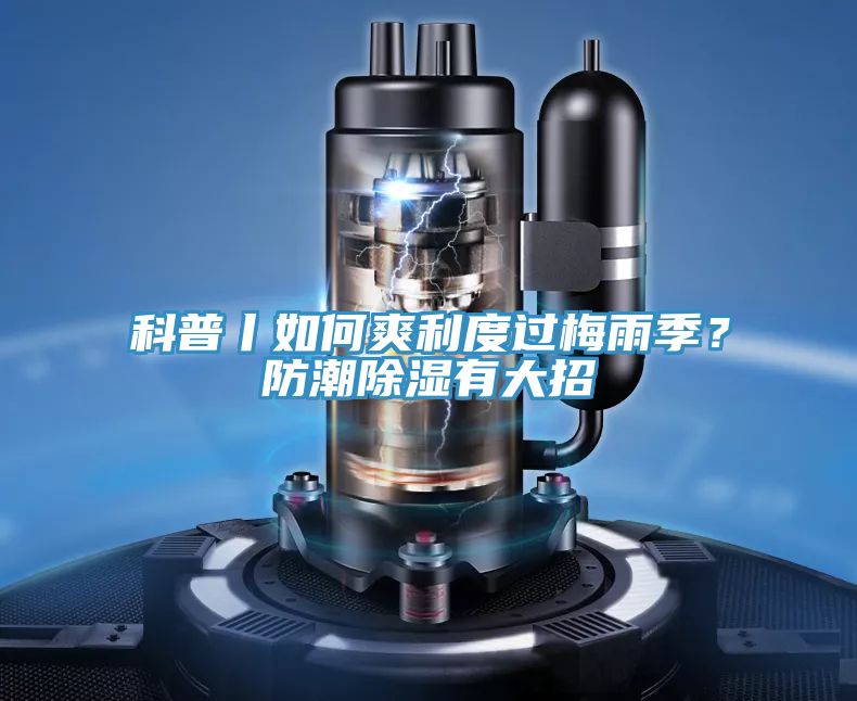 科普丨如何爽利度過梅雨季？防潮除濕有大招