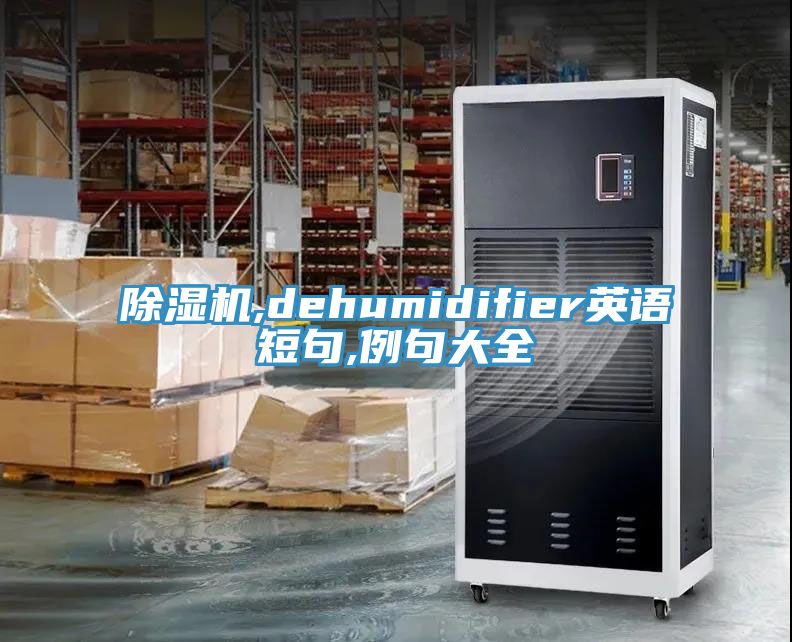 91看片软件大全,dehumidifier英語短句,例句大全