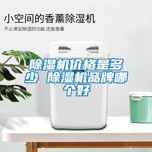 91看片软件大全價格是多少 91看片软件大全品牌哪個好