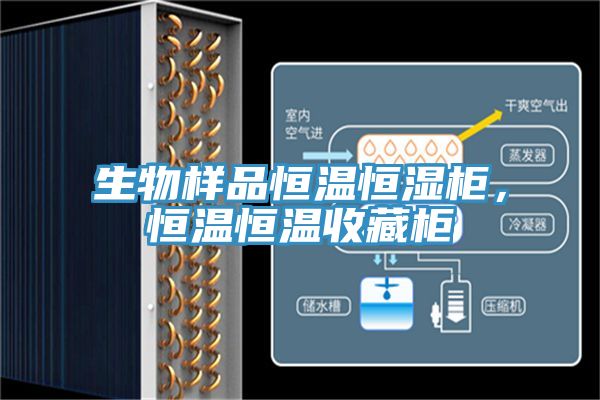 生物樣品恒溫恒濕櫃，恒溫恒溫收藏櫃