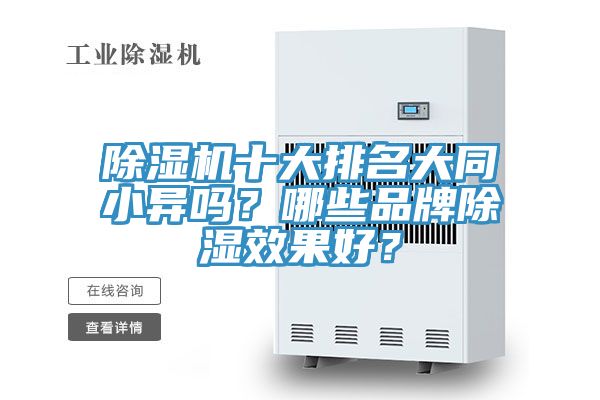 91看片软件大全十大排名大同小異嗎？哪些品牌除濕效果好？