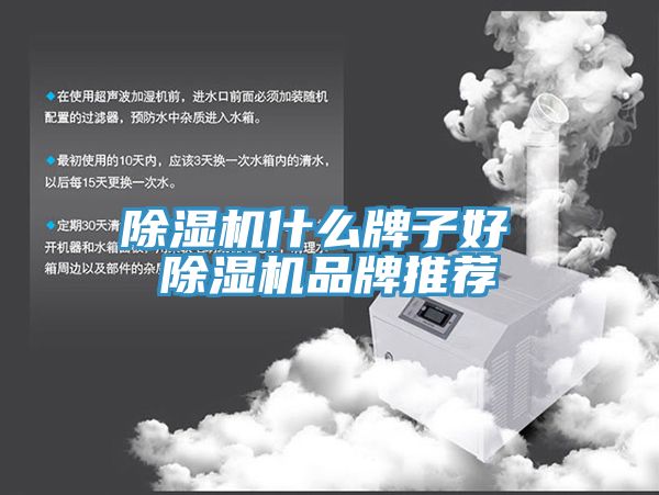 91看片软件大全什麽牌子好 91看片软件大全品牌推薦