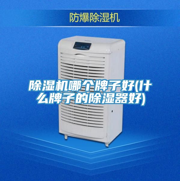 91看片软件大全哪個牌子好(什麽牌子的除濕器好)