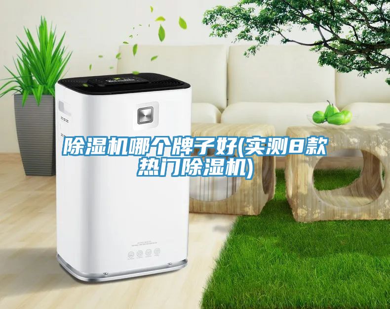 91看片软件大全哪個牌子好(實測8款熱門91看片软件大全)