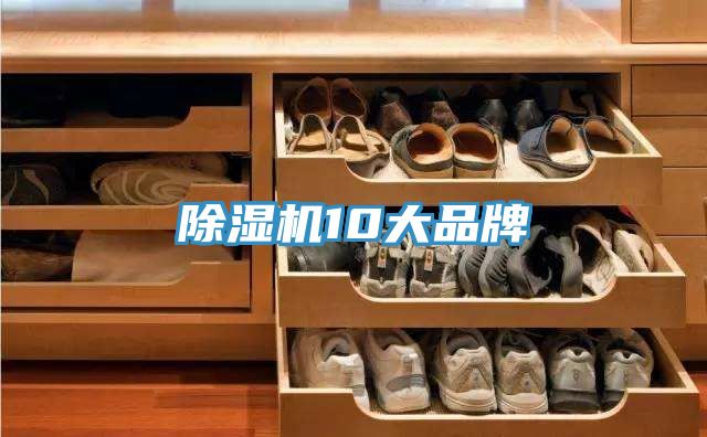 91看片软件大全10大品牌