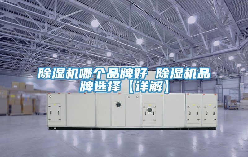 91看片软件大全哪個品牌好 91看片软件大全品牌選擇【詳解】