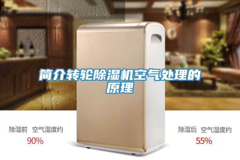 簡介轉輪91看片软件大全空氣處理的原理