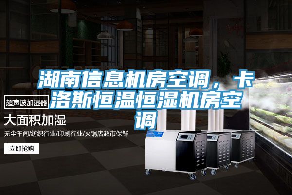 湖南信息機房空調，卡洛斯恒溫恒濕機房空調