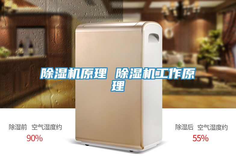 91看片软件大全原理 91看片软件大全工作原理