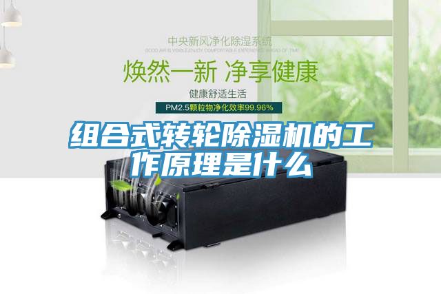 組合式轉輪91看片软件大全的工作原理是什麽