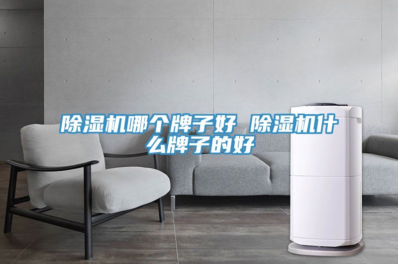 91看片软件大全哪個牌子好 91看片软件大全什麽牌子的好