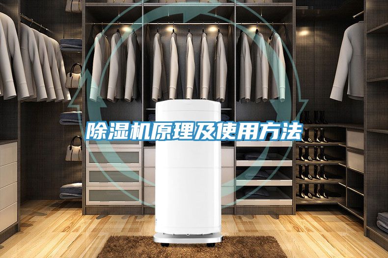 91看片软件大全原理及使用方法