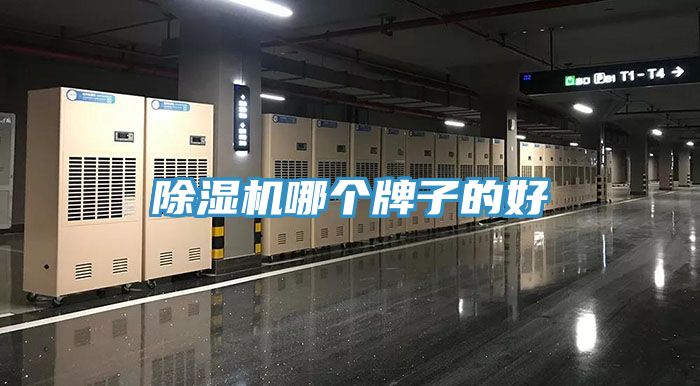 91看片软件大全哪個牌子的好
