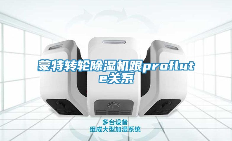 蒙特轉輪91看片软件大全跟proflute關係