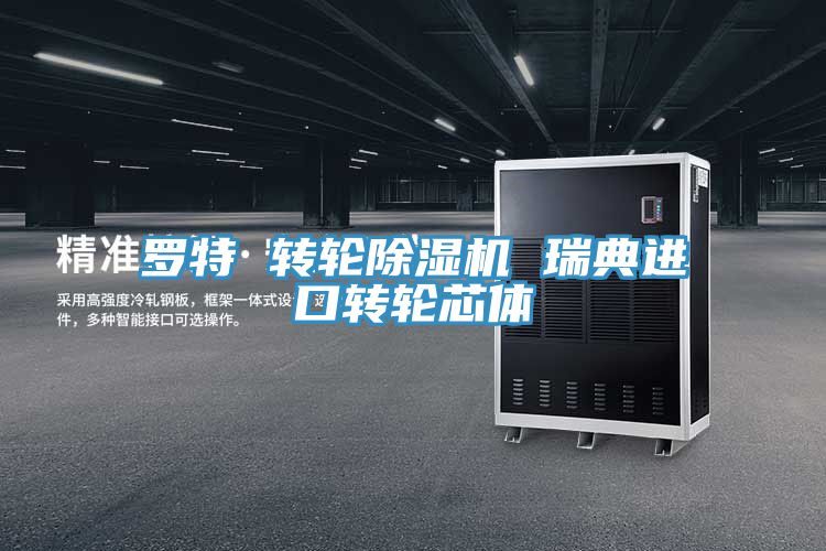 羅特 轉輪91看片软件大全 瑞典進口轉輪芯體