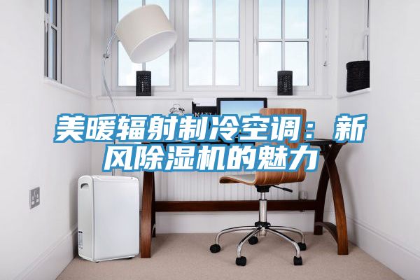 美暖輻射製冷空調：新風91看片软件大全的魅力